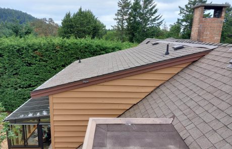 Roof and chimney of a lare brown home overlooking the mountains