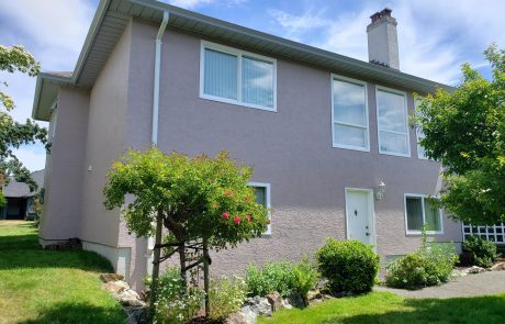 Pink house with white window frames and a rose bush in front