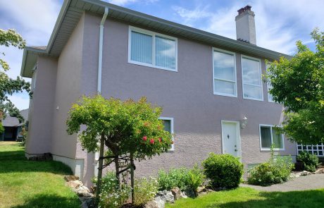 Pink house with white window frames and a rose bush in front