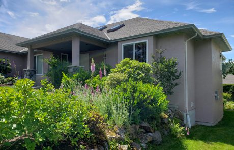 Pink house with large bushes and plants in front