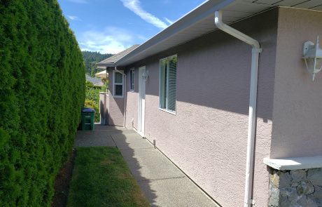 Side walkway of the pink house and tall hedges